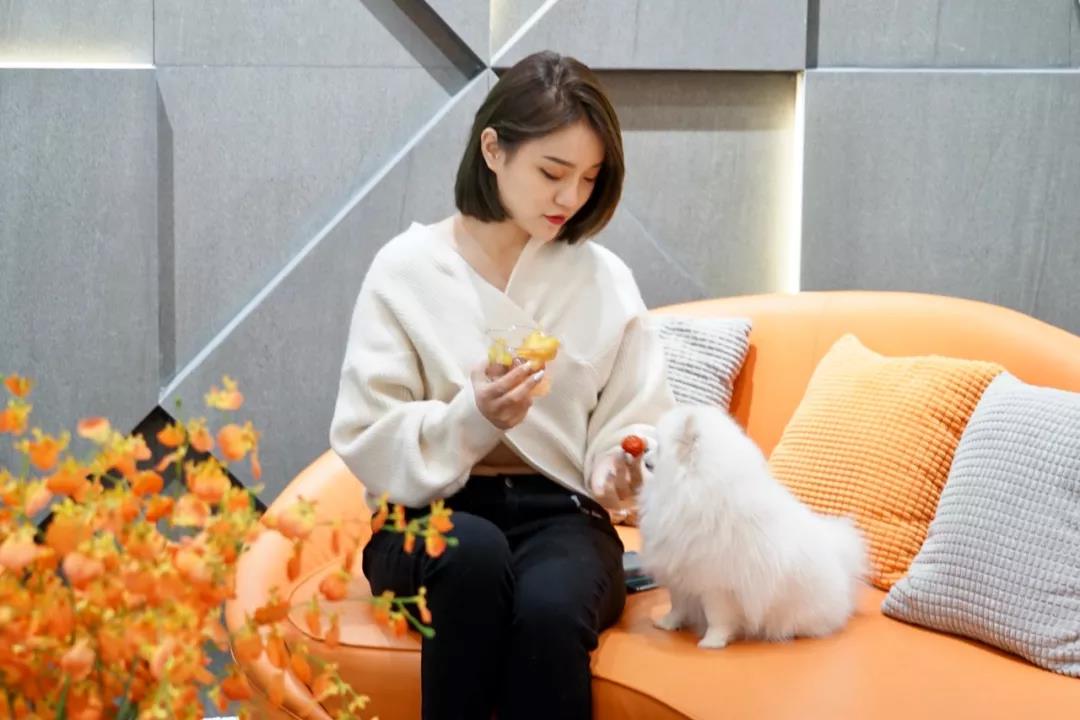 1579062454554696.jpg 微信图片_20200115122103.jpg