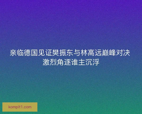 亲临德国见证樊振东与林高远巅峰对决 激烈角逐谁主沉浮